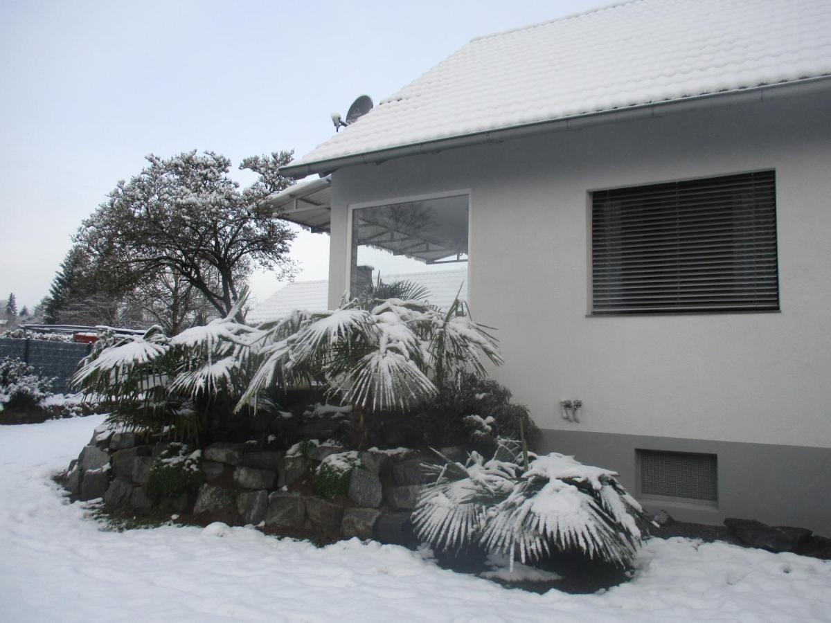 Ferienhaus Gerda フリーゼンハイム エクステリア 写真